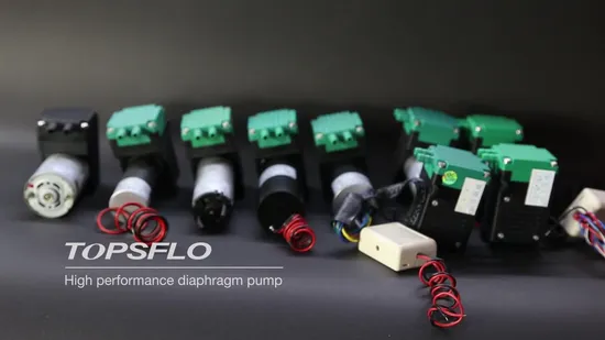 Pompa ad aria ad alte prestazioni con 6 V, 12 V o 24 V (motore a spazzole CC)